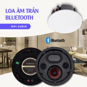 Loa Âm Trần Bluetooth AC-L10BT chính hãng