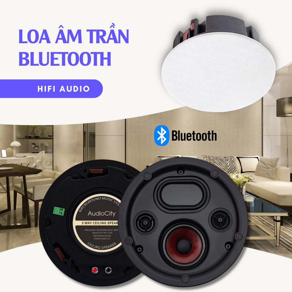 Loa Âm Trần Bluetooth AC-L10BT chính hãng