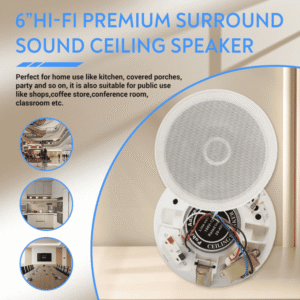 Loa âm trần Kacaudio 704