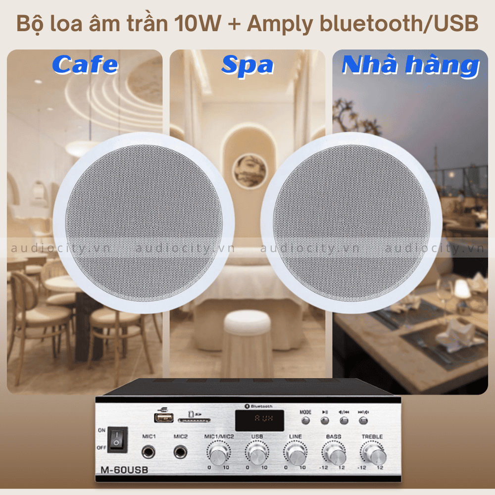Bộ 2 Loa Âm Trần Cho Quán Cafe, Spa, Nhà Hàng giá rẻ