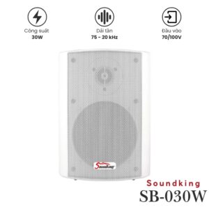 Loa Treo Tường Soundking SB-030W chính hãng
