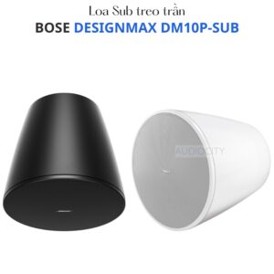 Loa Sub Treo Thả Bose DesignMax DM10P-SUB Chính Hãng | Loa Siêu Trầm Pendant 10 Inch 300W